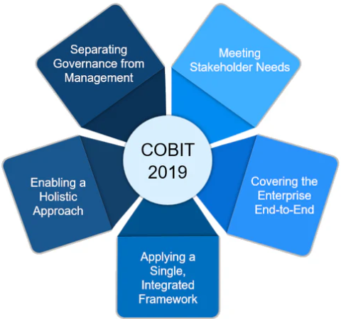 cobit_19_principles